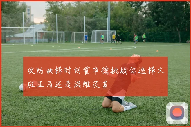 攻防抉择时刻霍华德挑战你选择文班亚马还是诺维茨基