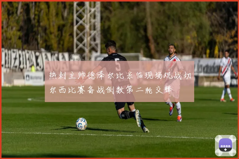 热刺主帅德泽尔比亲临现场观战切尔西比赛备战倒数第二轮交锋