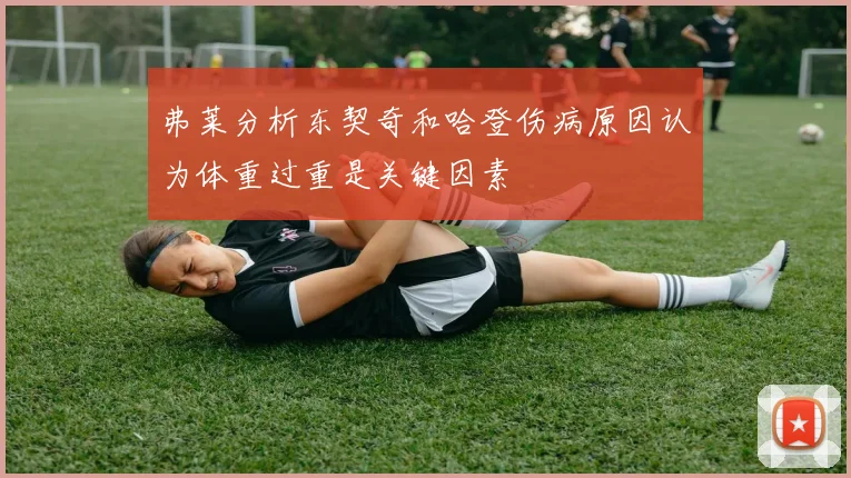 弗莱分析东契奇和哈登伤病原因认为体重过重是关键因素
