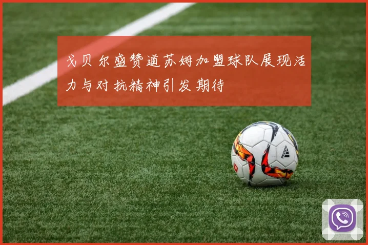 戈贝尔盛赞道苏姆加盟球队展现活力与对抗精神引发期待